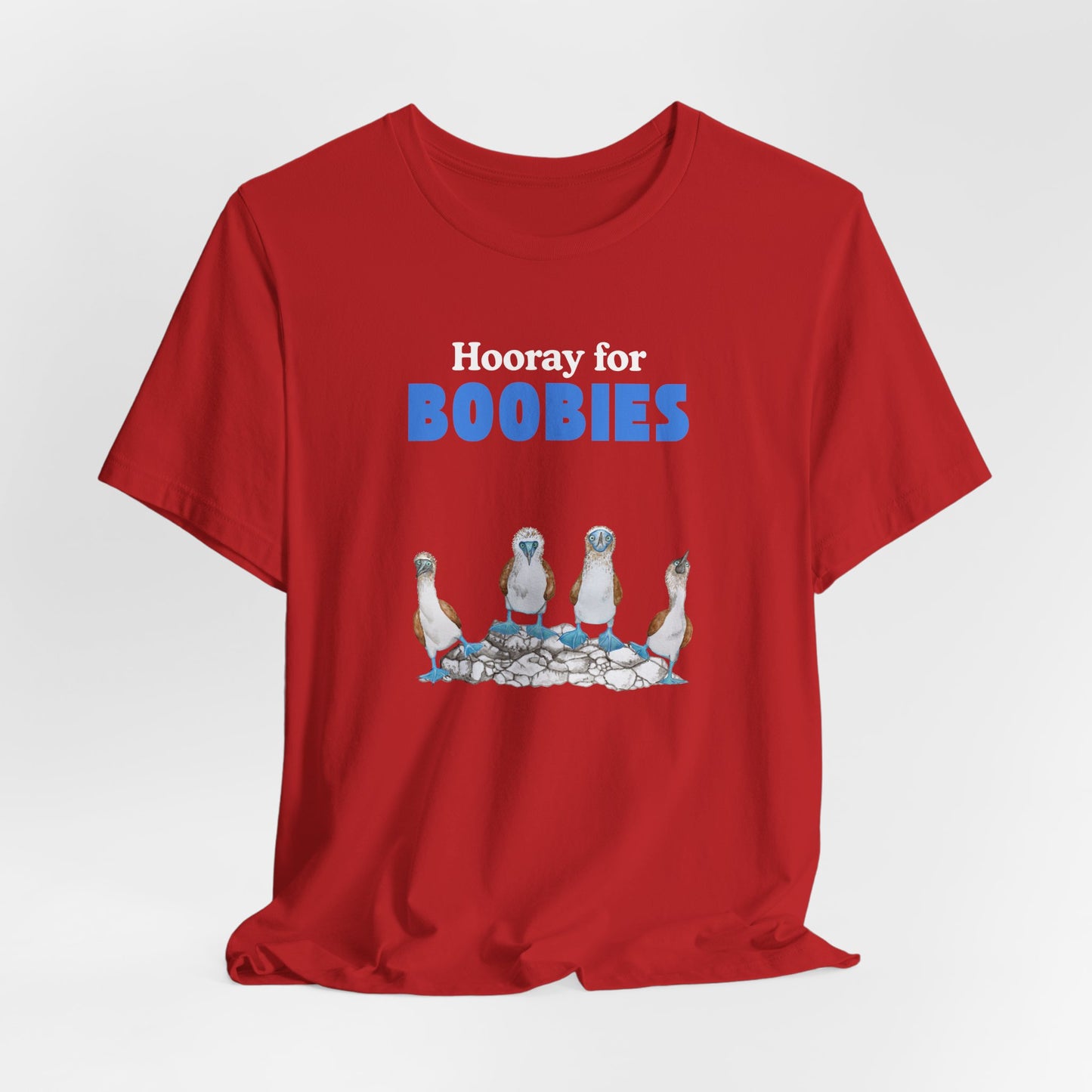 Hooray for Boobies Unisex Jersey Tee - Fun Casual Wear for a Playful Spirit