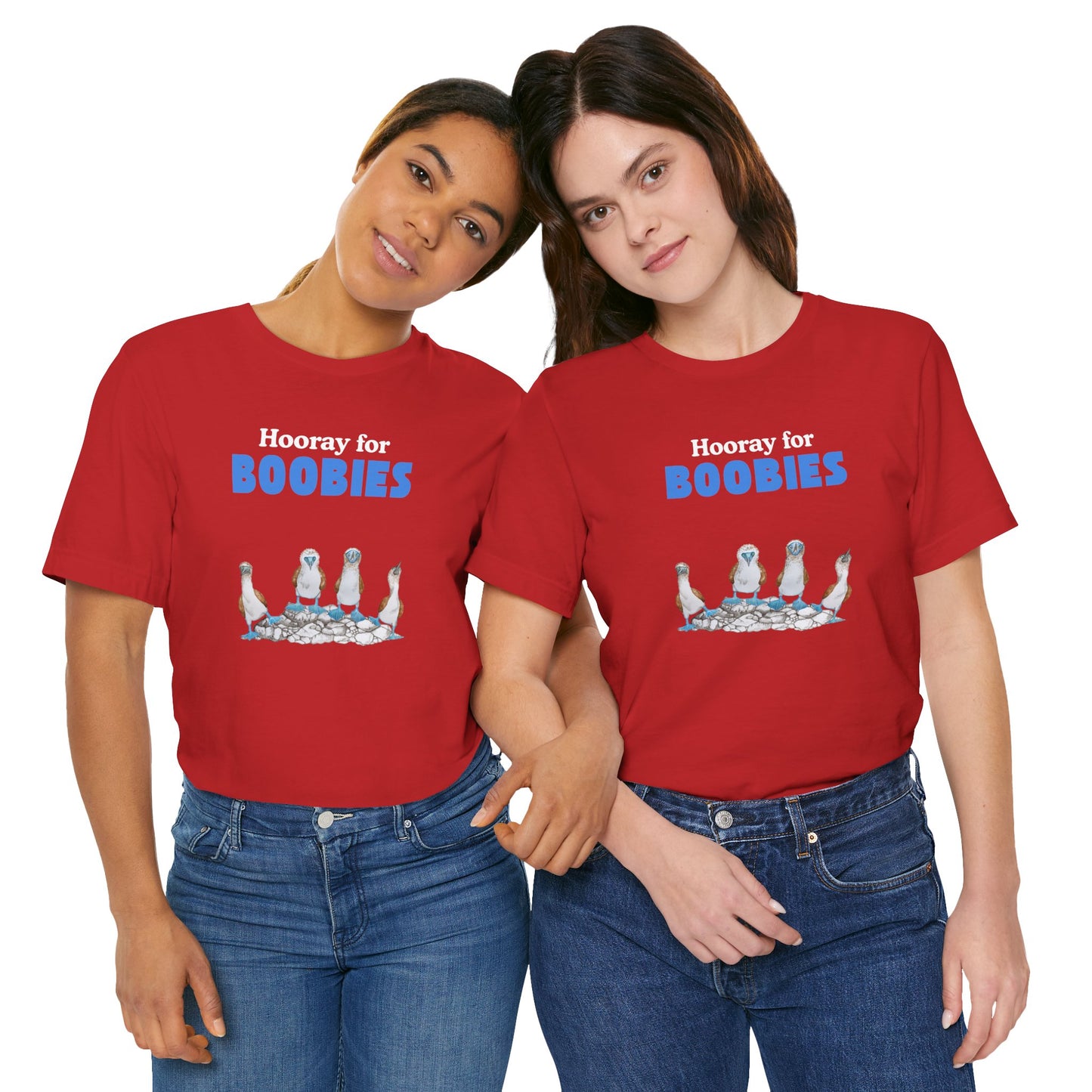 Hooray for Boobies Unisex Jersey Tee - Fun Casual Wear for a Playful Spirit